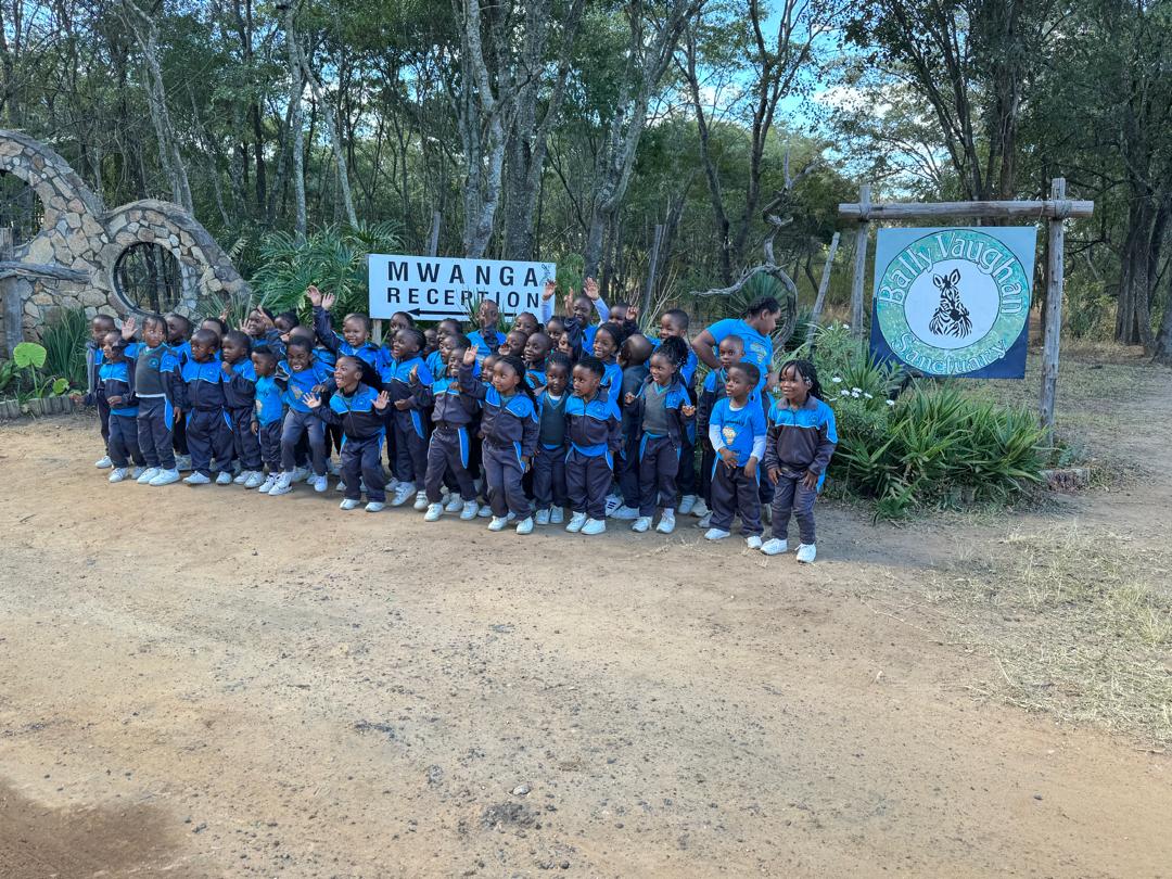 Harmony Junior School